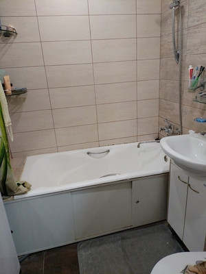 Продам трехкомнатную (3-комн.) квартиру, Центральная ул, 9, Ботня д