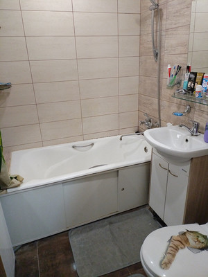 Продам трехкомнатную (3-комн.) квартиру, Центральная ул, 9, Ботня д