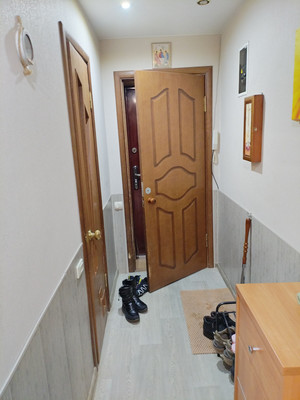 Продам трехкомнатную (3-комн.) квартиру, Центральная ул, 9, Ботня д