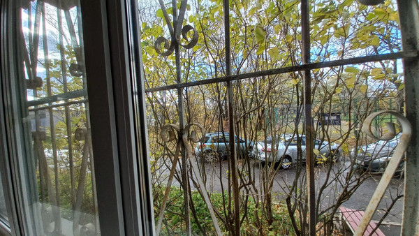 Продам трехкомнатную (3-комн.) квартиру, Политрука Пасечника (Торики тер.) ул, 16А, Санкт-Петербург г