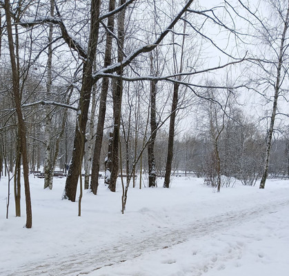 Продам трехкомнатную (3-комн.) квартиру, Политрука Пасечника (Торики тер.) ул, 16А, Санкт-Петербург г