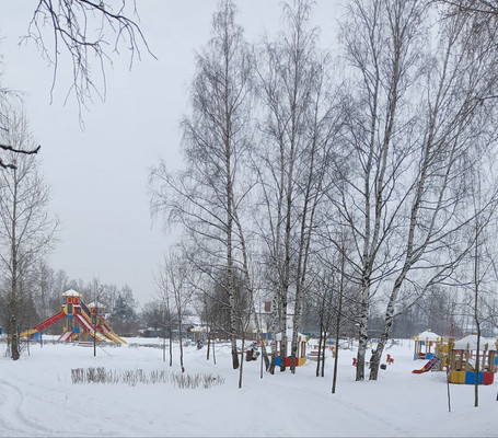 Продам трехкомнатную (3-комн.) квартиру, Политрука Пасечника (Торики тер.) ул, 16А, Санкт-Петербург г