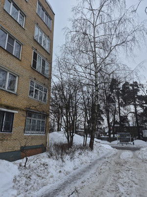 Продам однокомнатную (1-комн.) квартиру, Пушкинская ул, 4, Ашукино дп