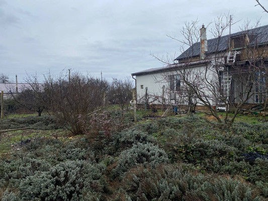 Продам дом, Западная (Овощевод тер. СПК) ул, Орехово с, 0 км от города