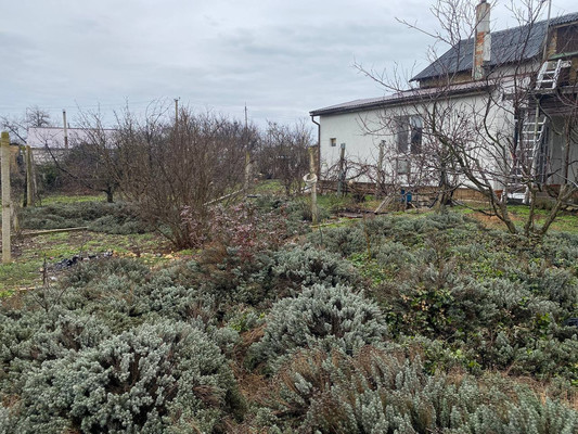 Продам дом, Западная (Овощевод тер. СПК) ул, Орехово с, 0 км от города