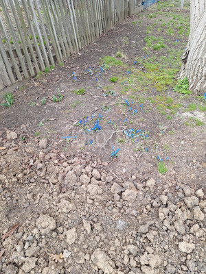 Продам дом, Красная ул, 290, Казанская ст-ца, 0 км от города