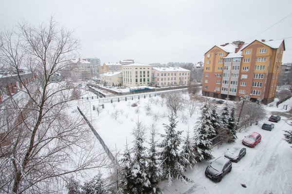 Продам однокомнатную (1-комн.) квартиру, Маршала Борзова ул, 93В, Калининград г