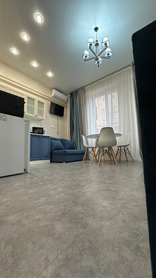 Продам однокомнатную (1-комн.) квартиру, Калараша (Лазаревский р-н) ул, 64/13к2, Сочи г