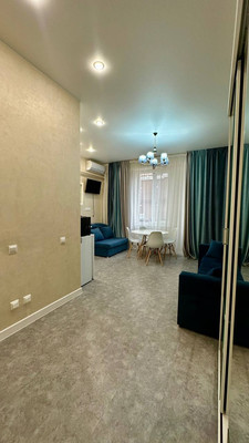 Продам однокомнатную (1-комн.) квартиру, Калараша (Лазаревский р-н) ул, 64/13к2, Сочи г