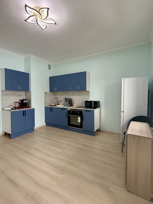 Сдам однокомнатную (1-комн.) квартиру, Авиаконструкторов пр-кт, 61, Санкт-Петербург г