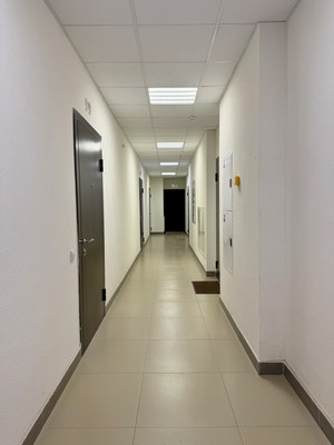 Сдам однокомнатную (1-комн.) квартиру, Авиаконструкторов пр-кт, 61, Санкт-Петербург г