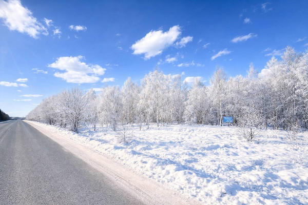 Продам участок 29,74 соток, Садоводство, объединение Кедр тер, Яхрома г, 0 км от города