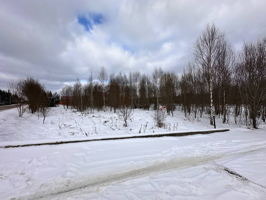 Продам участок 29,74 соток, Садоводство, объединение Кедр тер, Яхрома г, 0 км от города