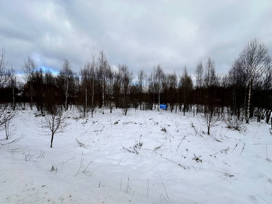 Продам участок 29,74 соток, Садоводство, объединение Кедр тер, Яхрома г, 0 км от города