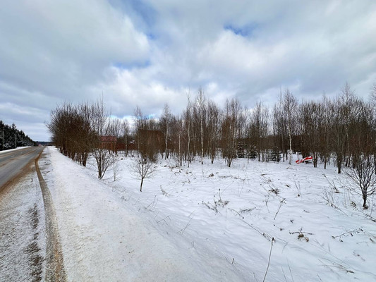 Продам участок 29,74 соток, Садоводство, объединение Кедр тер, Яхрома г, 0 км от города