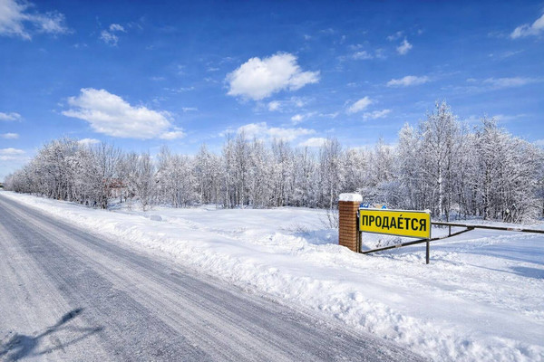 Продам участок 14,88 соток, Садоводство, объединение Кедр тер, Яхрома г, 0 км от города