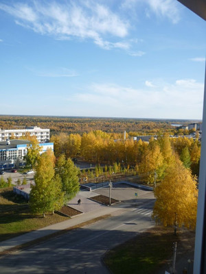 Продам однокомнатную (1-комн.) квартиру, Мира ул, 22/1, Сыктывкар г