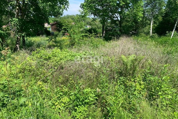 Продам участок 524 соток, Фермерское хоз., Золотая рыбка ул, Цемдолина с, 0 км от города