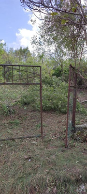 Продам участок 524 соток, Фермерское хоз., Золотая рыбка ул, Цемдолина с, 0 км от города