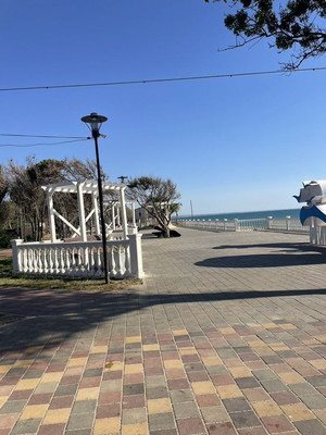 Продам участок 6 соток, ИЖС, Лесная ул, 45, Николаевка пгт, 0 км от города