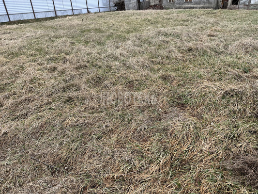 Продам дом, Мира ул, Северская ст-ца, 0 км от города