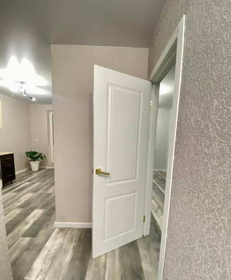 Продам однокомнатную (1-комн.) квартиру, Петропавловская ул, 13, Новоселье гп