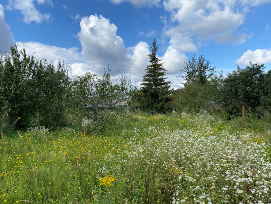 Продам дом, 5, Базулино д, 0 км от города