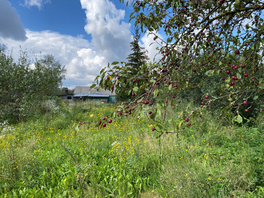 Продам дом, 5, Базулино д, 0 км от города