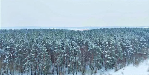 Продам двухкомнатную (2-комн.) квартиру, Объездная дорога ул, 2, Сосновый Бор п