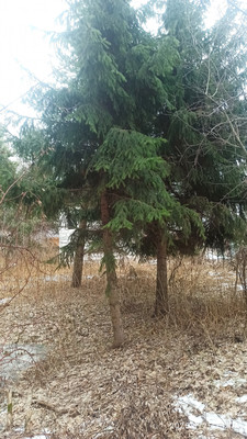 Продам участок 12 соток, Фермерское хоз., Весна тер. СНТ, Раменское г, 0 км от города