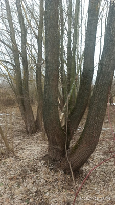 Продам участок 12 соток, Фермерское хоз., Весна тер. СНТ, Раменское г, 0 км от города