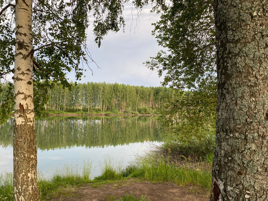 Продам участок 10 соток, ИЖС, Пелево с, 0 км от города