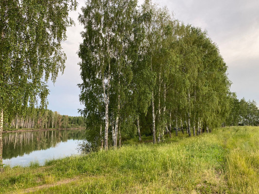 Продам участок 10 соток, ИЖС, Пелево с, 0 км от города