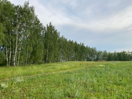 Продам участок 10 соток, ИЖС, Пелево с, 0 км от города