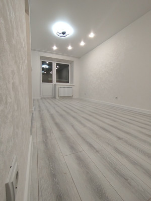 Продам однокомнатную (1-комн.) квартиру, Молодежная ул, 2в, Семеновка с