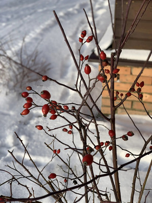 Продам дом, Садовая ул, 46, Старый Киструс с, 0 км от города