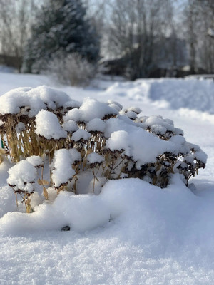 Продам дом, Садовая ул, 46, Старый Киструс с, 0 км от города
