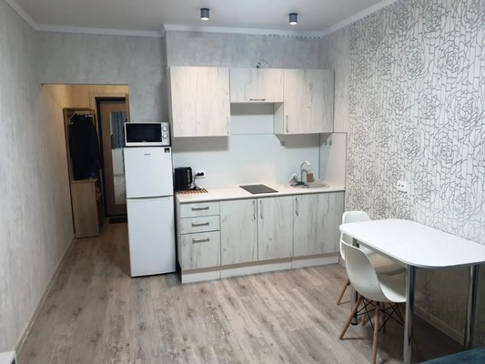 Продам однокомнатную (1-комн.) квартиру, Ленина ул, 173Ак5, Анапа г