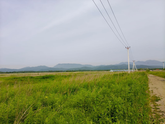 Продам участок 98,65 соток, ИЖС, Центральная ул, 58к2, Перетино с, 0 км от города