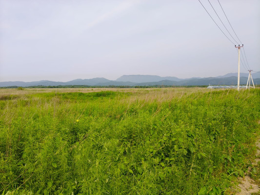 Продам участок 98,65 соток, ИЖС, Центральная ул, 58к2, Перетино с, 0 км от города