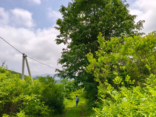 Продам участок 12,81 соток, Фермерское хоз., Центральная (Север тер. СНТ) ул, Голубовка с, 0 км от города