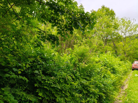 Продам участок 12,81 соток, Фермерское хоз., Центральная (Север тер. СНТ) ул, Голубовка с, 0 км от города