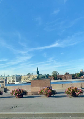 Продам однокомнатную (1-комн.) квартиру (долевое), Большой Смоленский пр-кт, 5к3, Санкт-Петербург г