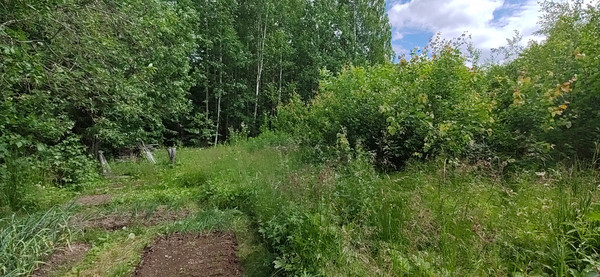 Продам участок 10 соток, Фермерское хоз., СТ Таволги тер, 0 км от города