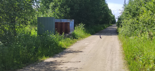 Продам участок 10 соток, Фермерское хоз., СТ Таволги тер, 0 км от города