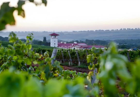 Продам участок 8,11 соток, ИЖС, Калинина ул, 16, Молдаванское с, 0 км от города