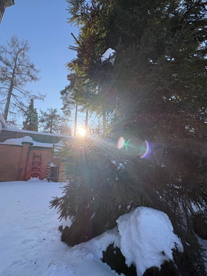 Продам коттедж, Запрудная ул, 55, Александровка п, 0 км от города