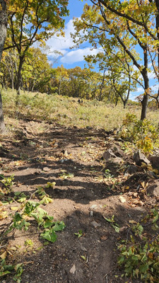 Продам участок 10 соток, ИЖС, Осенняя (поселок Врангель мкр.) ул, 35, Находка г, 0 км от города