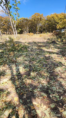 Продам участок 10 соток, ИЖС, Осенняя (поселок Врангель мкр.) ул, 35, Находка г, 0 км от города