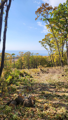 Продам участок 10 соток, ИЖС, Осенняя (поселок Врангель мкр.) ул, 35, Находка г, 0 км от города